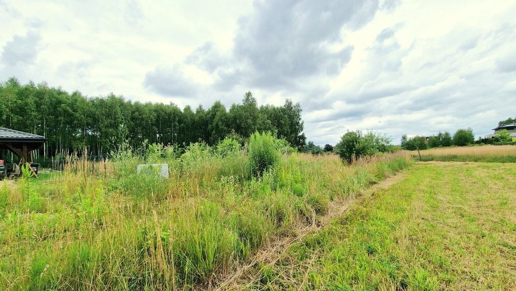 Działka budowlana na sprzedaż Gruszewnia, Górna  3 001m2 Foto 6