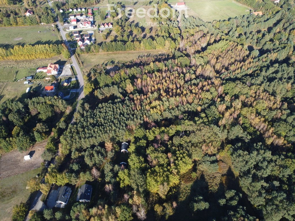 Działka budowlana na sprzedaż Smołdziński Las  4 128m2 Foto 4