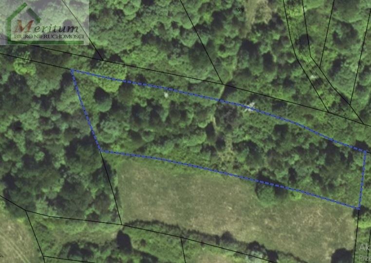 Działka rolna 1,39ha z lasami i gruntami ornymi (Dukla) Dukla  13 900m2 Foto 1