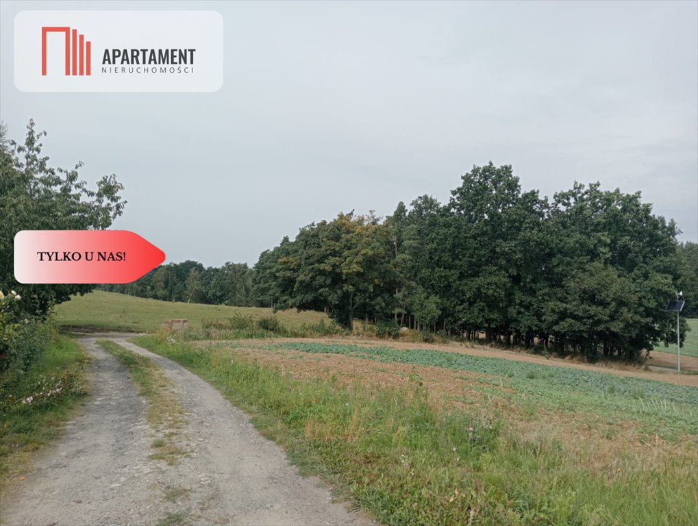 Zapraszam do zakupu działki 3000 m² pod dom z mediami w Śliwinach Śliwiny  2 996m2 Foto 1
