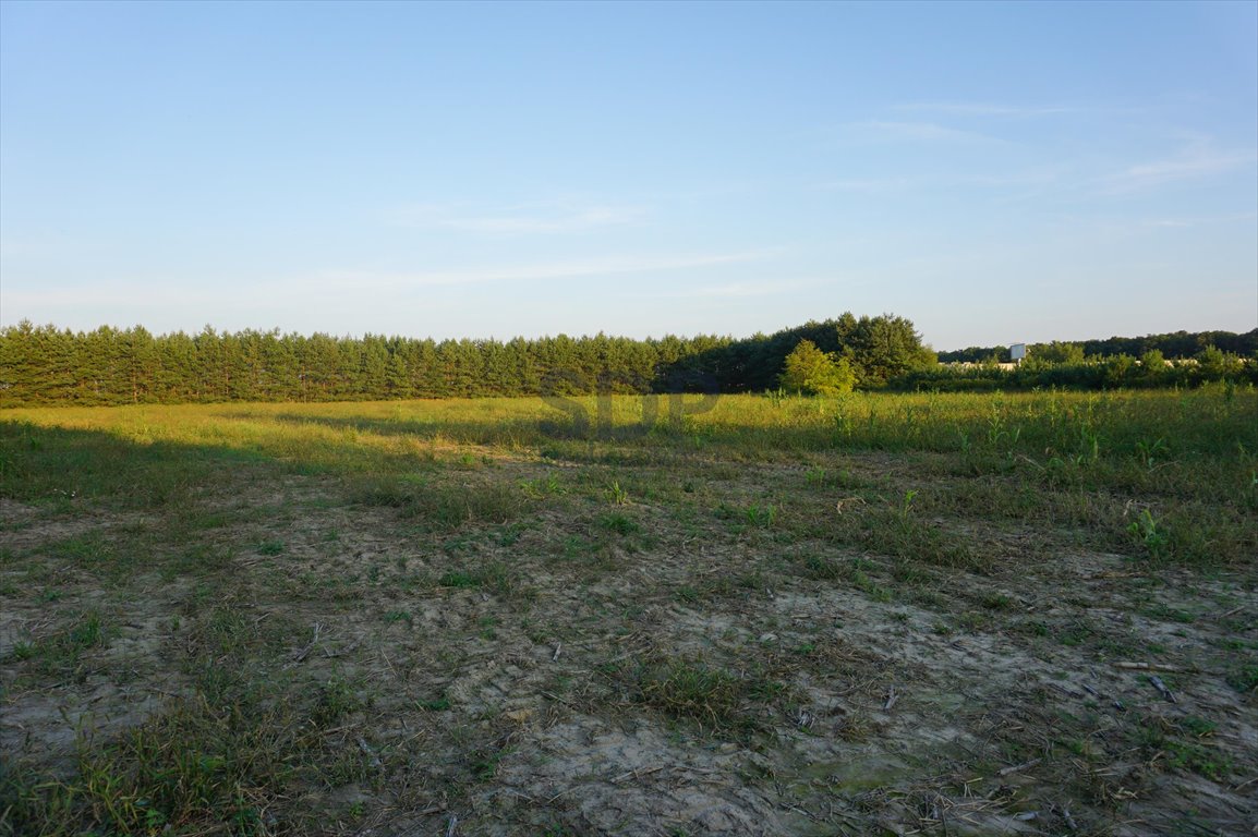 Działka inwestycyjna na sprzedaż Ramiszów  15 000m2 Foto 3