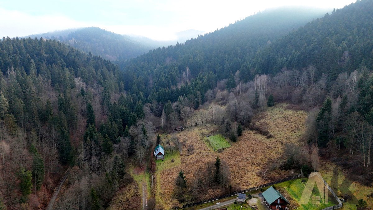 Działka budowlana na sprzedaż Muszyna  1 959m2 Foto 8