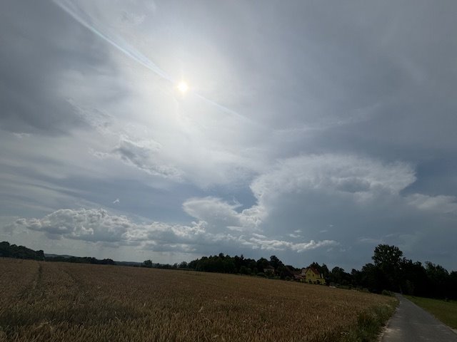 Działka inwestycyjna na sprzedaż Gryfów Śląski  5 400m2 Foto 5