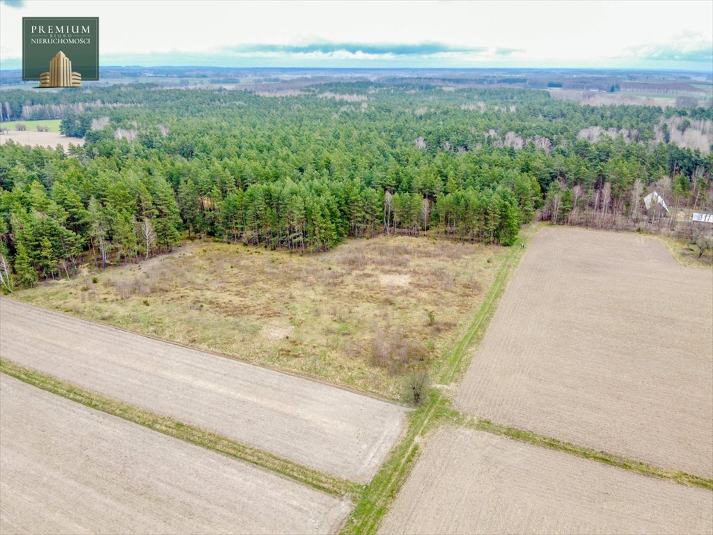 Działka siedliskowa na sprzedaż Koźliki  3 000m2 Foto 5