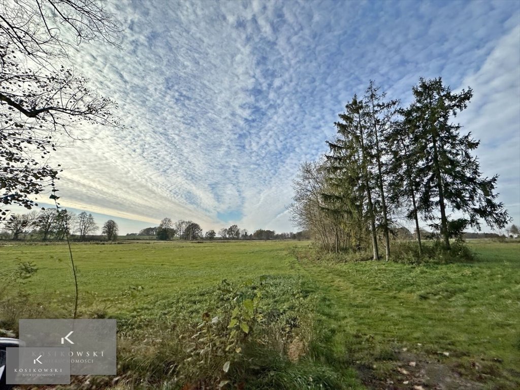 Działka inna na sprzedaż Namysłów, Baldwinowice  46 400m2 Foto 3