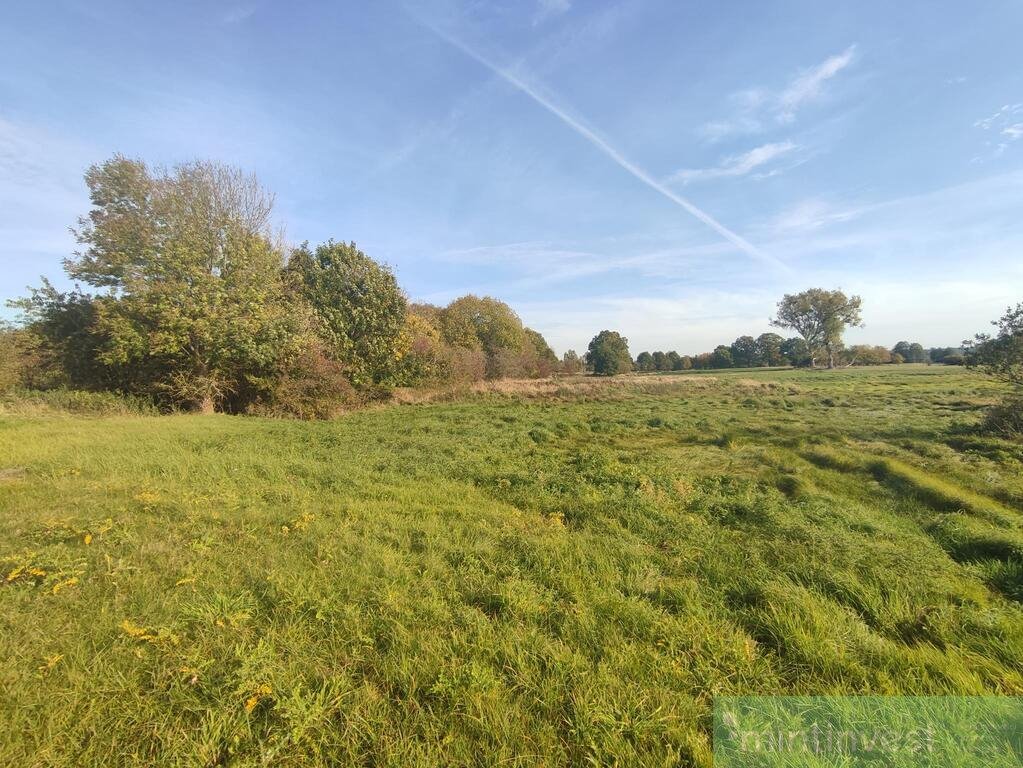 Działka 3633 m2 w Żarnowie – spokojna okolica, media w drodze Żarnowo  3 633m2 Foto 1