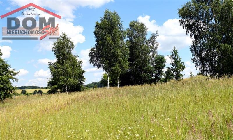 Działka inna na sprzedaż Gudowo  15 600m2 Foto 12