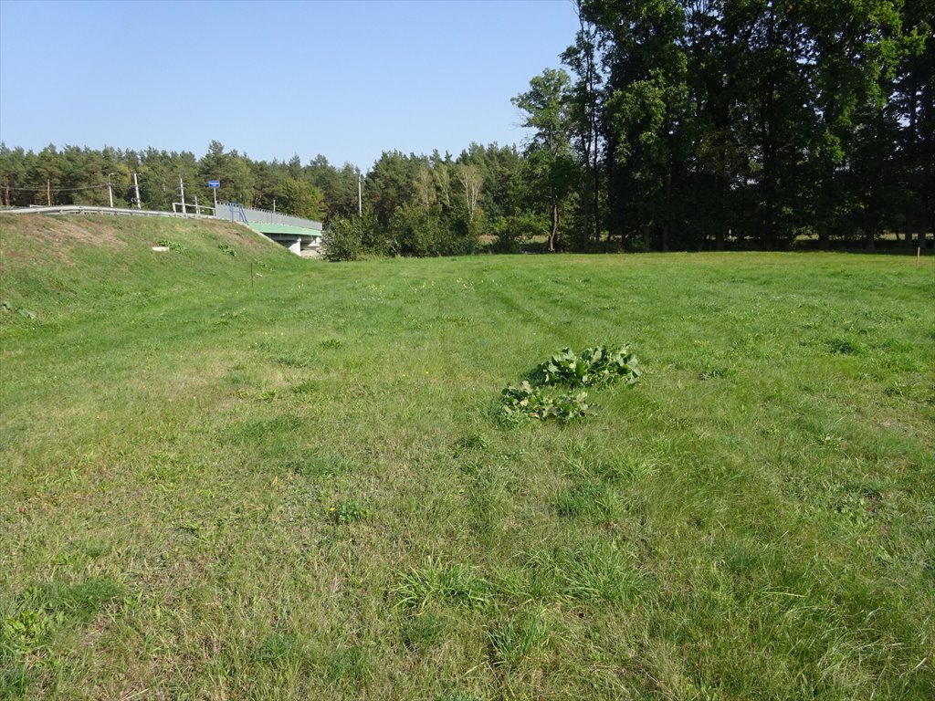 Działka budowlana na sprzedaż Drężewo  1 400m2 Foto 5