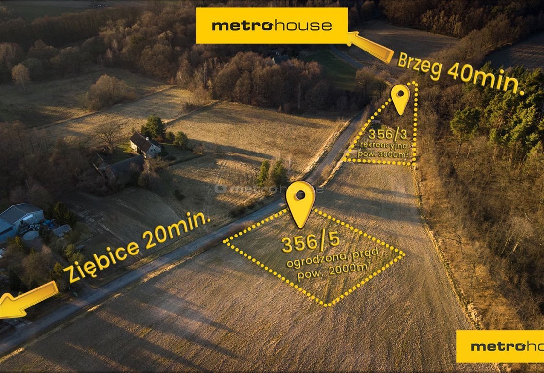 Działka budowlana na sprzedaż Sarby  5 000m2 Foto 1