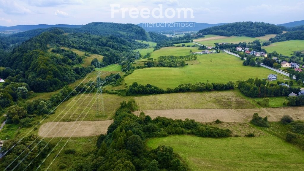 Działka rolna na sprzedaż Tylawa  19 300m2 Foto 4