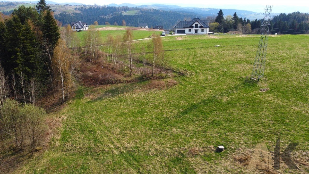 Działka budowlana na sprzedaż Paszyn  6 000m2 Foto 10