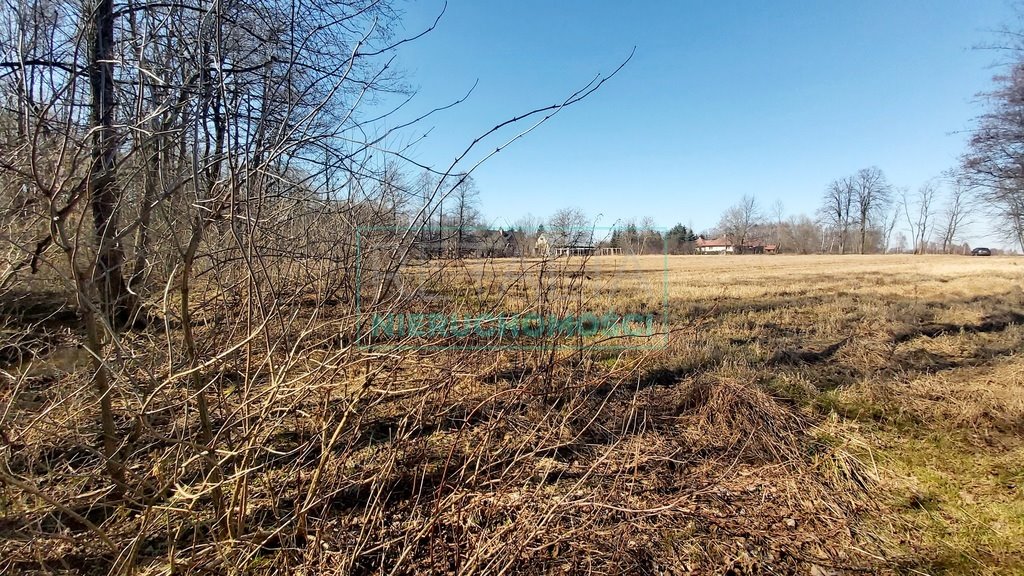 Działka budowlana na sprzedaż Żabia Wola  8 200m2 Foto 6