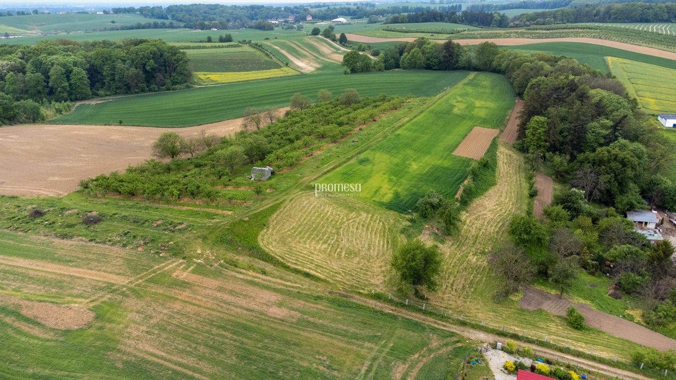 Działka inna na sprzedaż Taczów Wielki, Malinowa  1 176m2 Foto 7