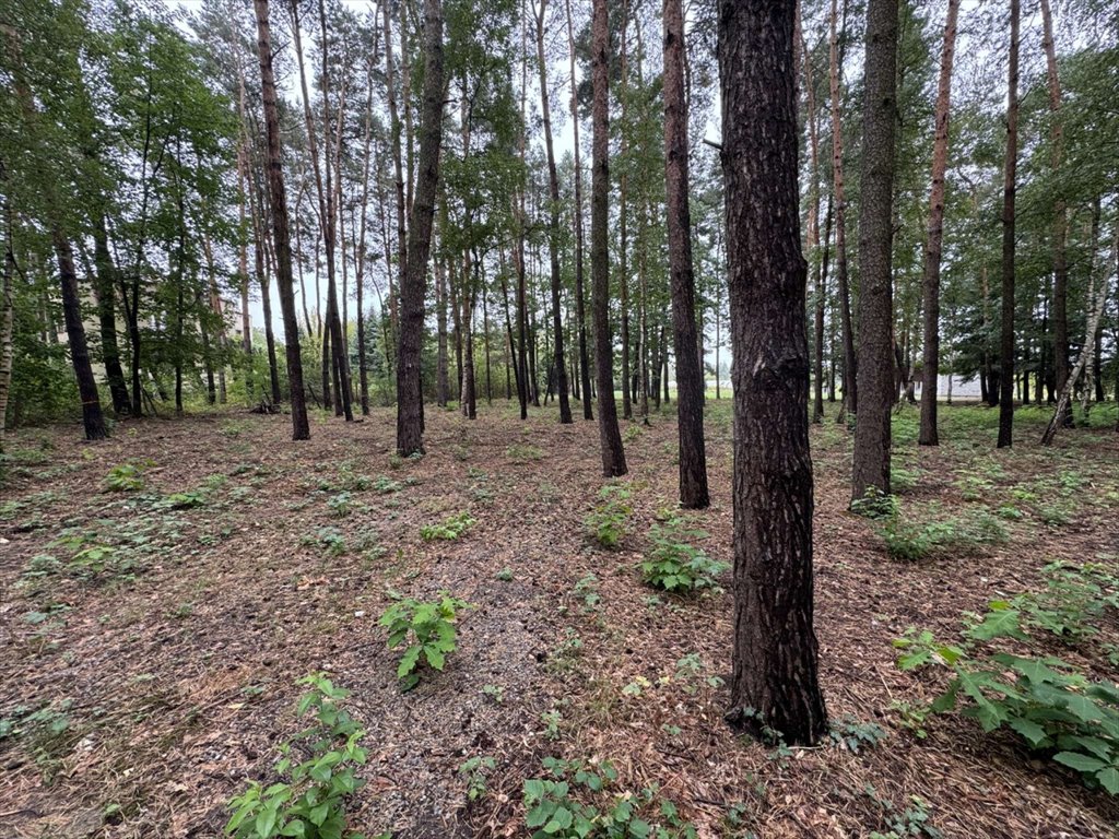 Działka budowlana na sprzedaż Konstancin-Jeziorna  1 657m2 Foto 3