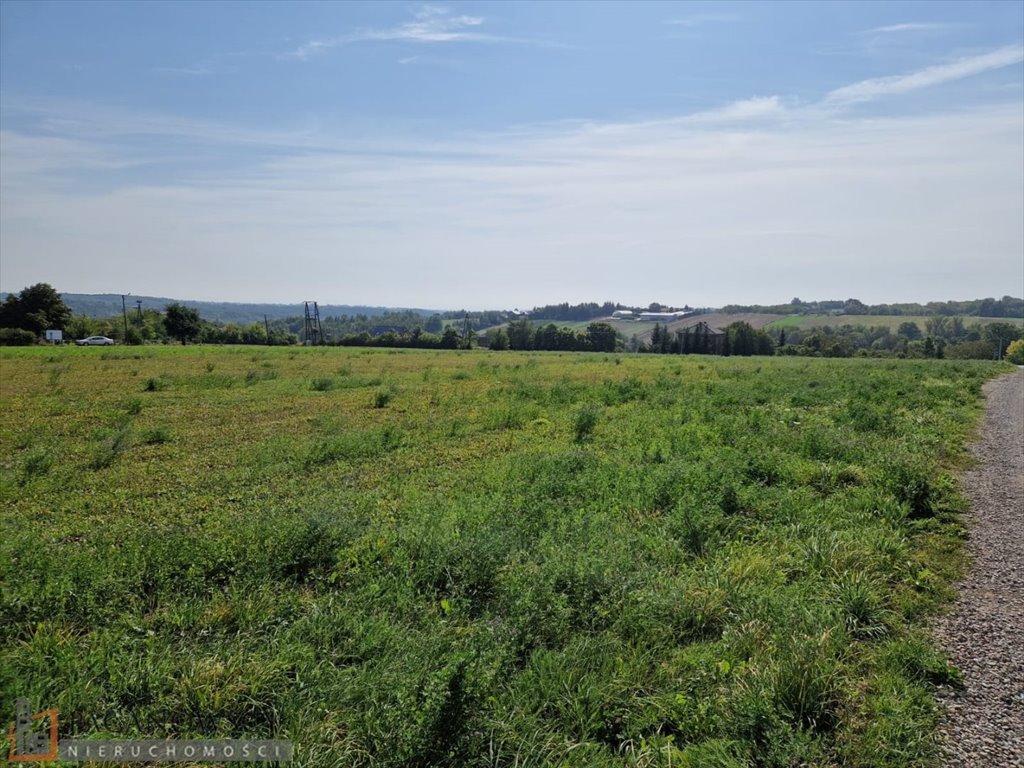 Działka budowlana na sprzedaż Żerkowice  900m2 Foto 7