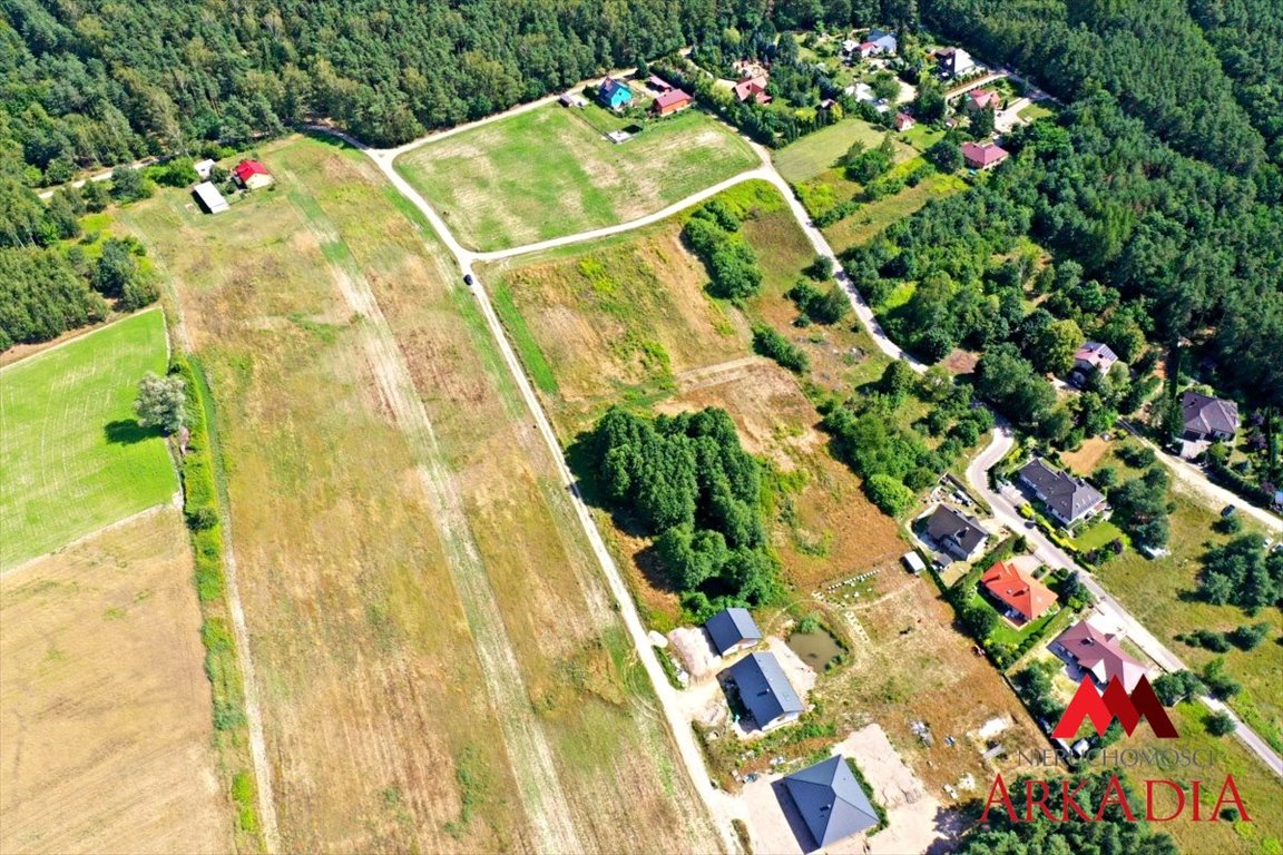 Działka rolna na sprzedaż Nowy Witoszyn  3 100m2 Foto 4