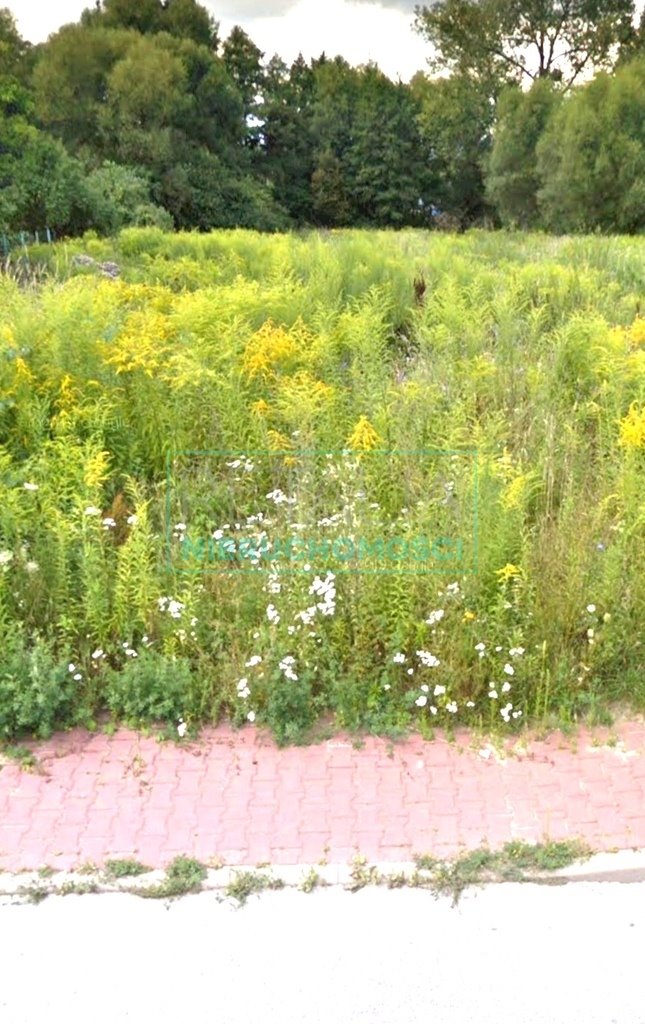 Działka inna na sprzedaż Kady  1 700m2 Foto 4