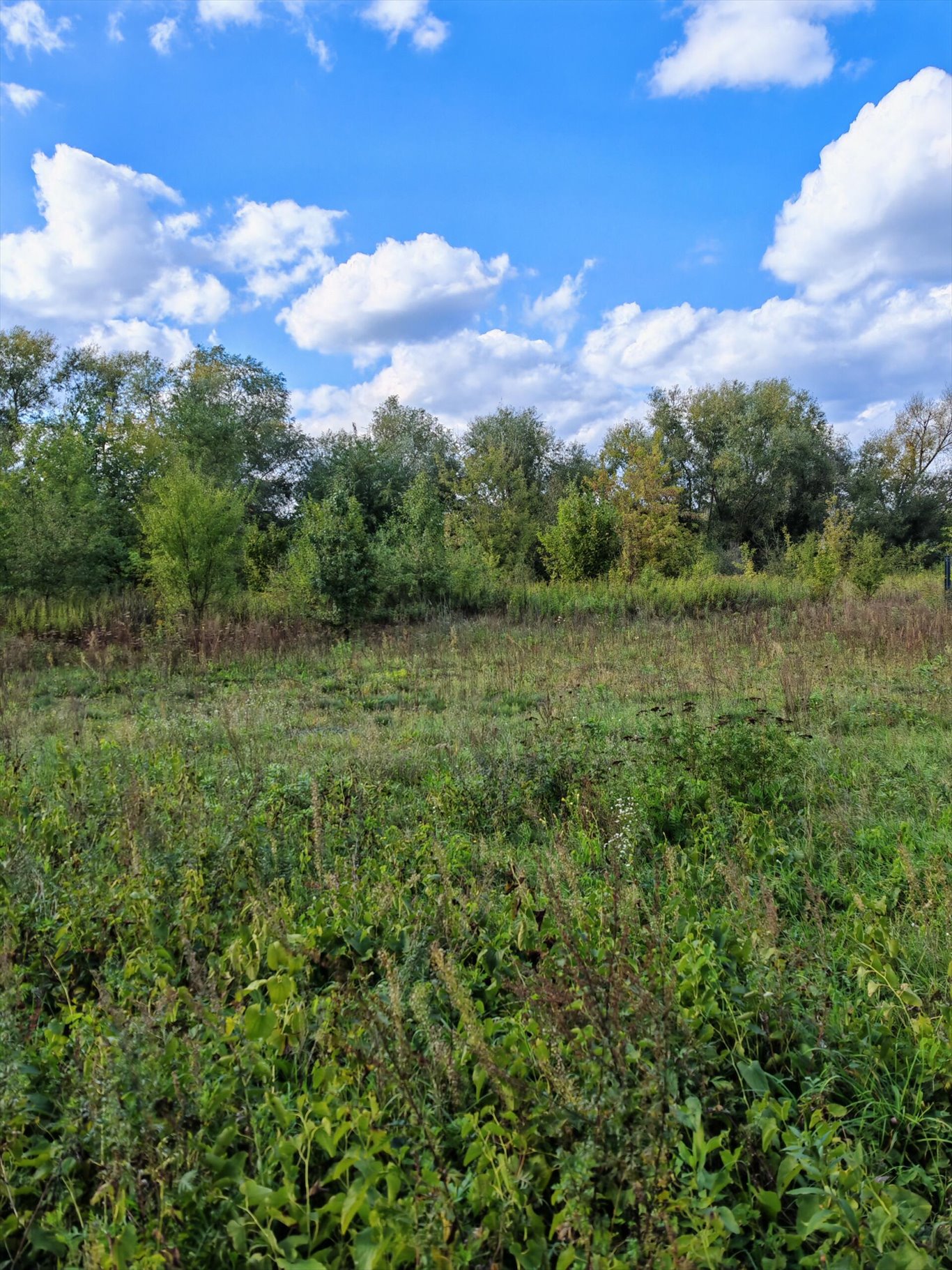 Działka inna na sprzedaż Łomianki  1 300m2 Foto 2