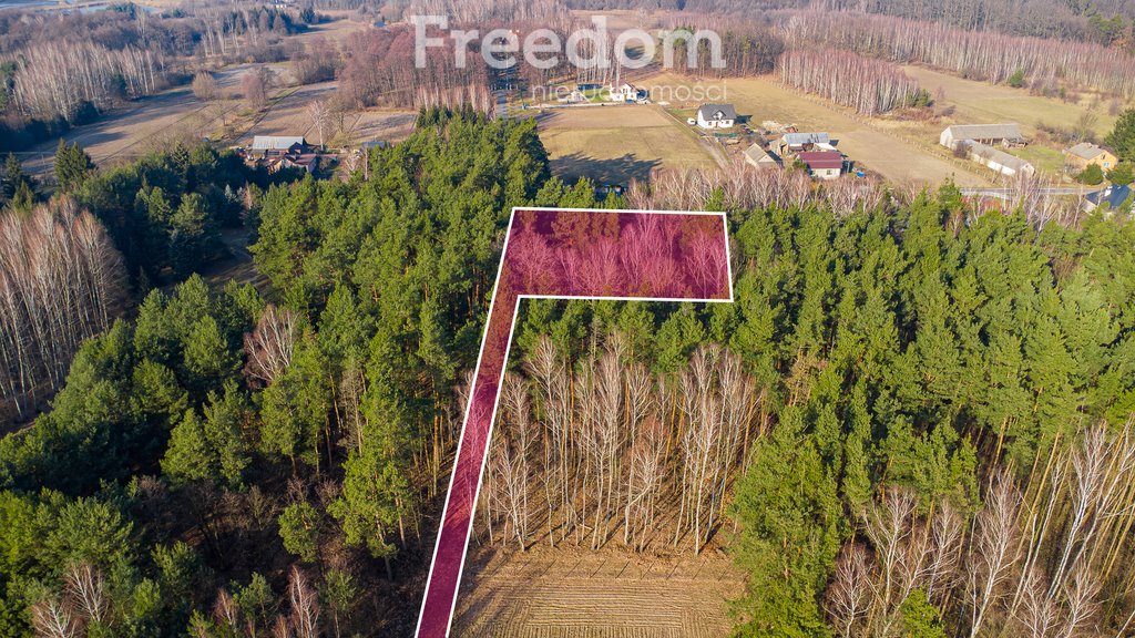 Działka leśna na sprzedaż Grzegorzewice  2 558m2 Foto 1