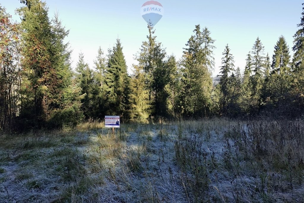 Działka leśna na sprzedaż Poronin  1 720m2 Foto 5