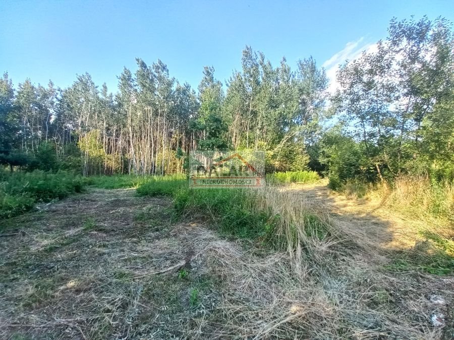 Działka rolna na sprzedaż Czersk, Tatary  18 200m2 Foto 7