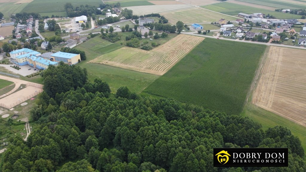 Działka rolna na sprzedaż Trzcianne  38 210m2 Foto 5