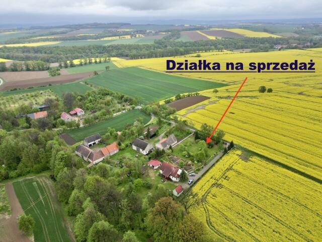 Działka budowlana na sprzedaż Błotnica, Błotnicka  1 670m2 Foto 5