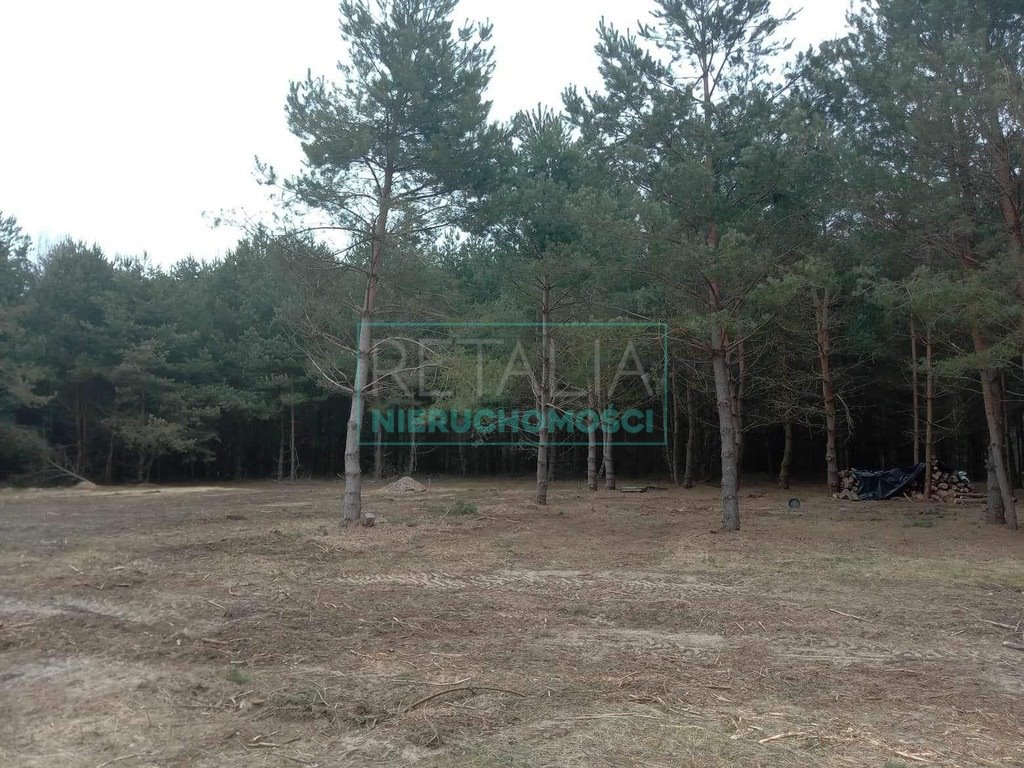 Działka budowlana na sprzedaż Bronisławów  6 746m2 Foto 3