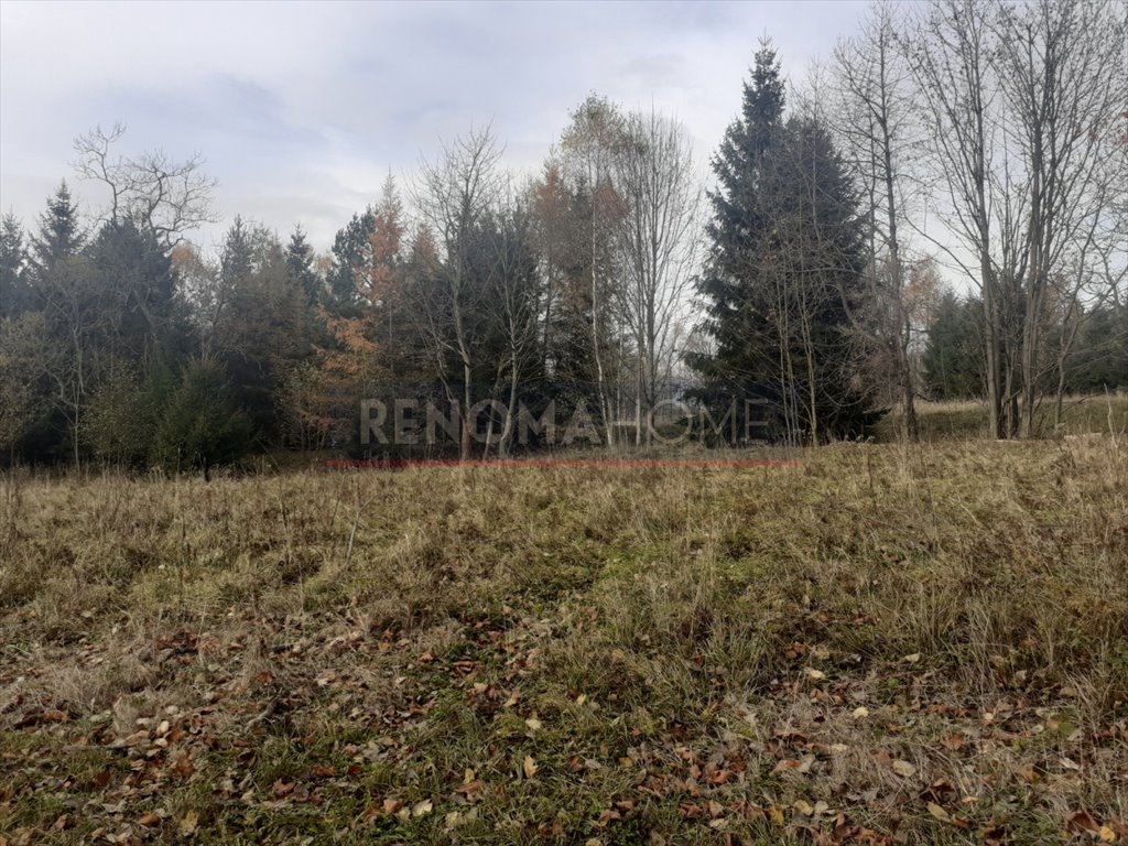 Działka budowlana na sprzedaż Rzeczka  6 800m2 Foto 2