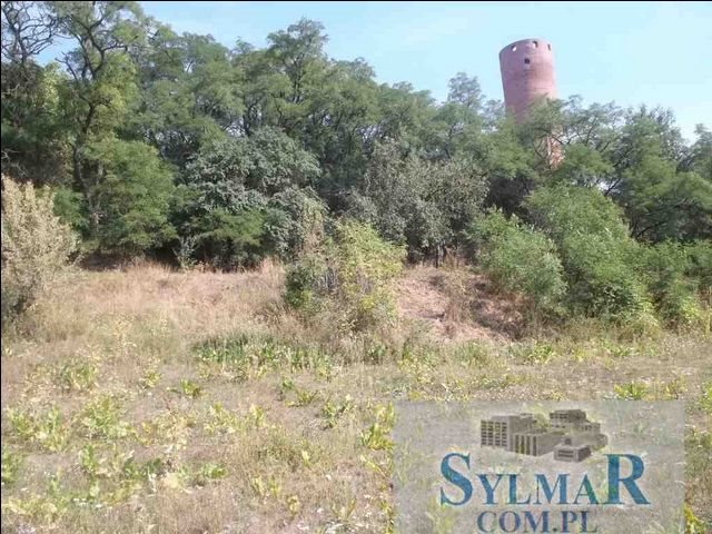 Działka budowlana na sprzedaż Góra Kalwaria, Czersk 1 100m2 Foto 1 Działka budowlana na sprzedaż Góra Kalwaria, Czersk 1 100m2 Foto 1
