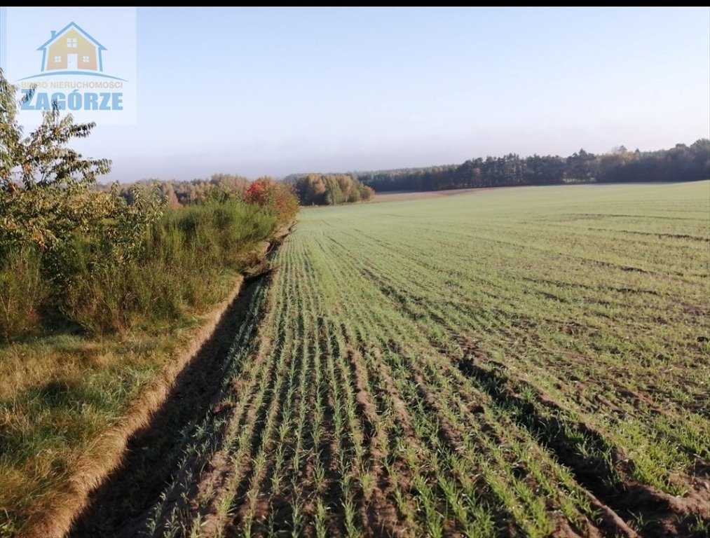 Działka 8 400 m² z możliwością budowy domu lub sklepu Dąbrowa Zielona, Radomszczańska  8 400m2 Foto 1