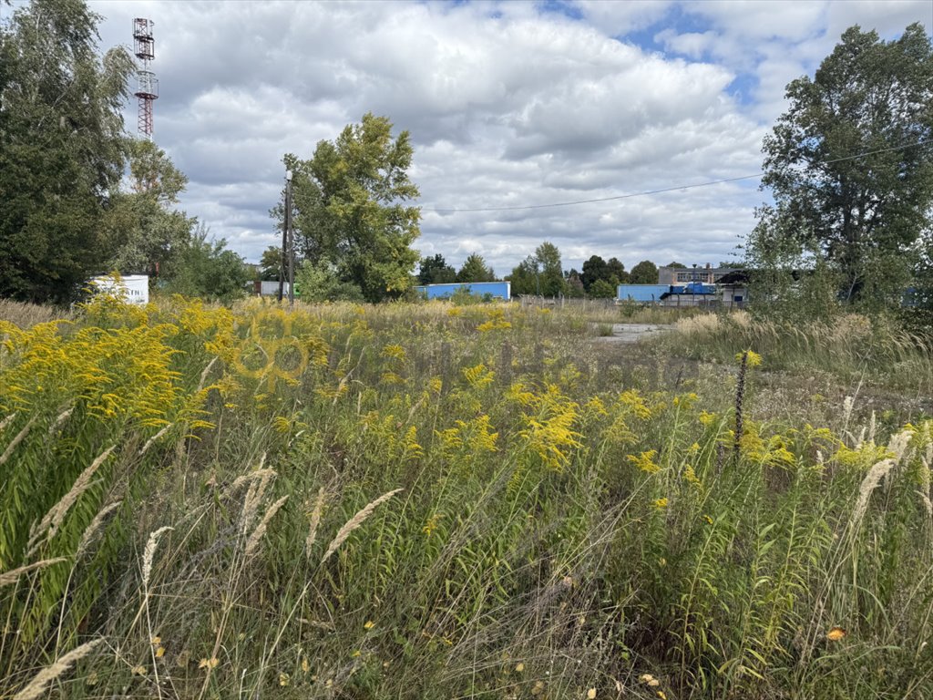 Działka 48 arów pod inwestycję w Żaganiu, atrakcyjna lokalizacja Żagań  4 800m2 Foto 1