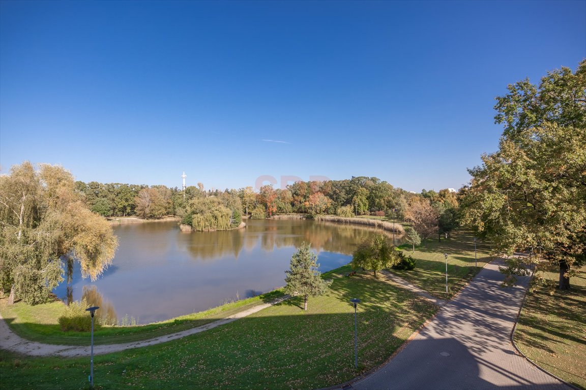 Lokal użytkowy na wynajem Wrocław, Krzyki, Borek, Racławicka  234m2 Foto 7