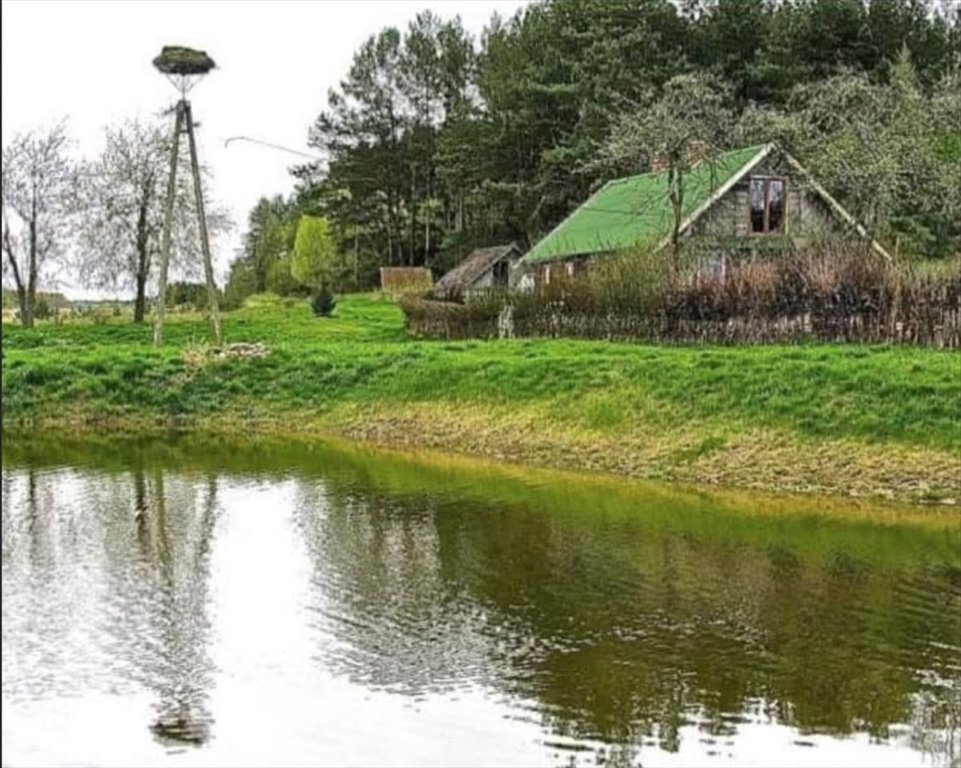 Ekologiczne gospodarstwo 83,8 ha z domem i stawami Plebanowo  83 800m2 Foto 1