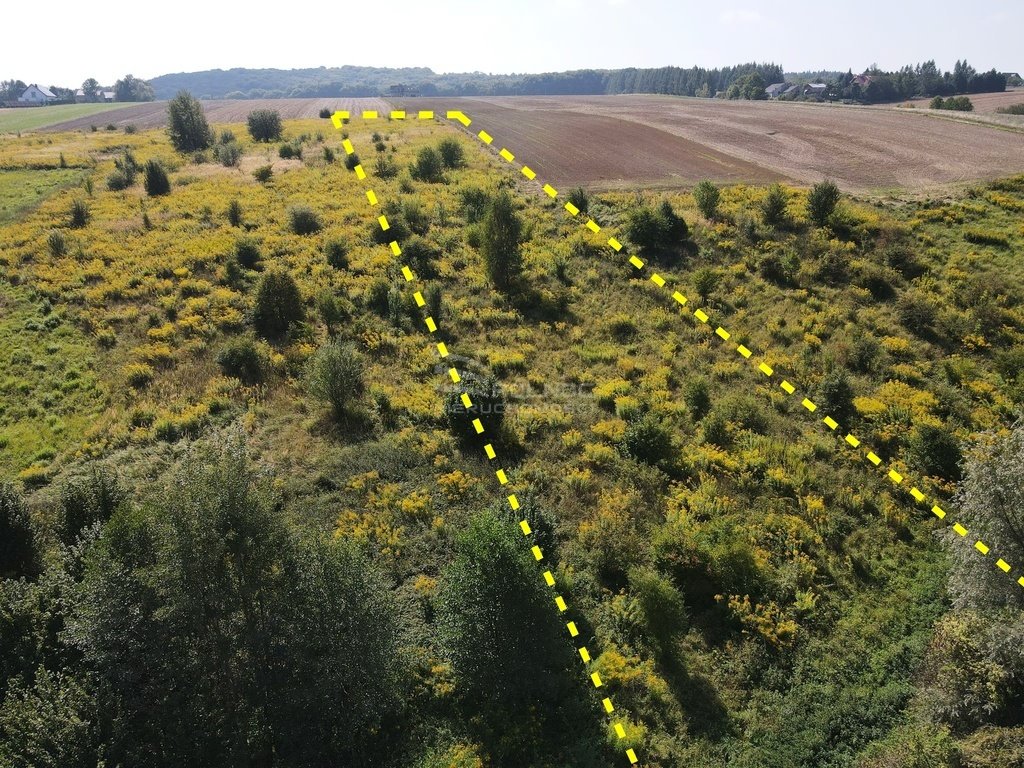 Działka budowlana na sprzedaż Przybysławice  5 100m2 Foto 1