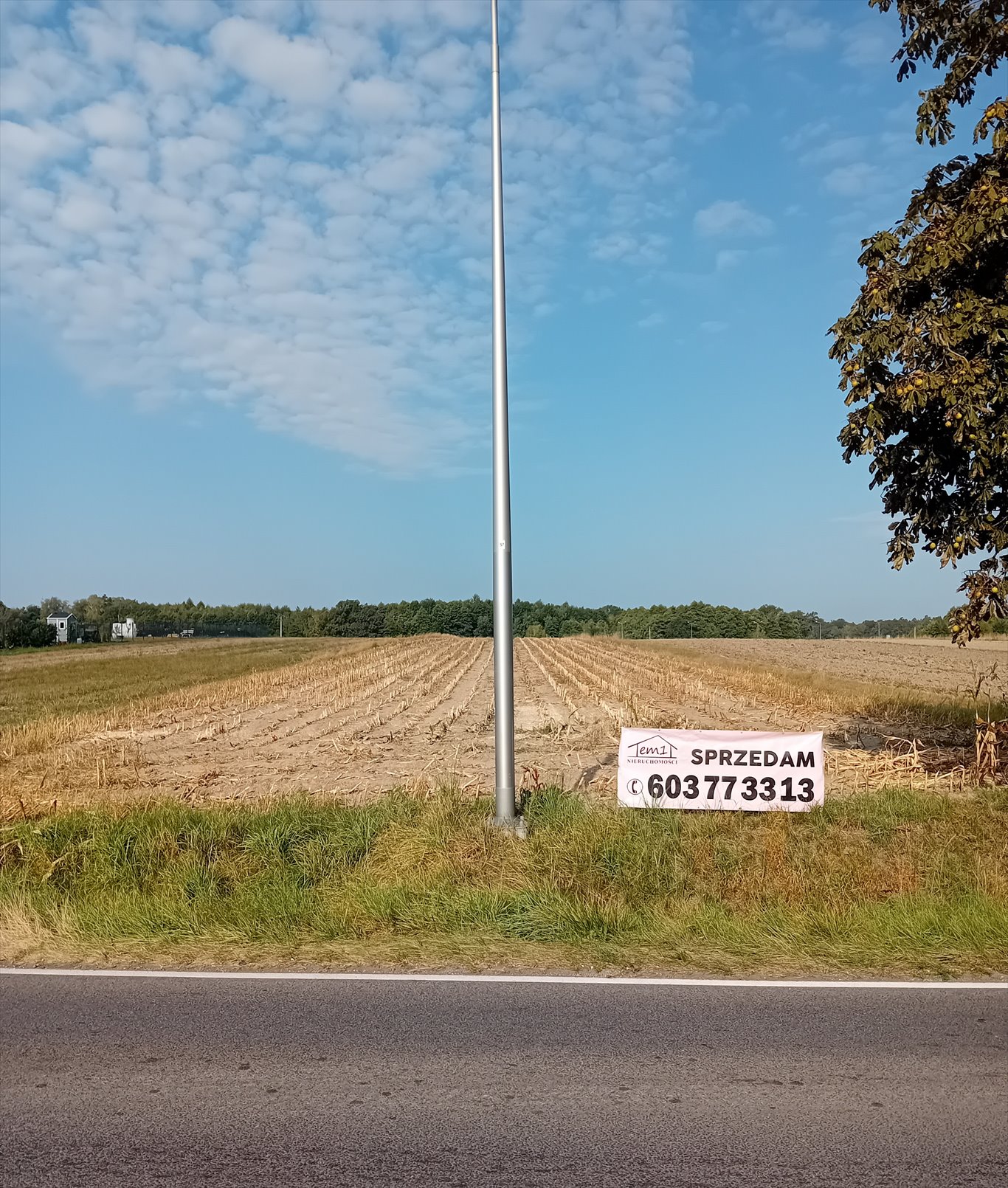 Działka budowlana na sprzedaż Łany Wielkie, Łabędzka  720m2 Foto 3