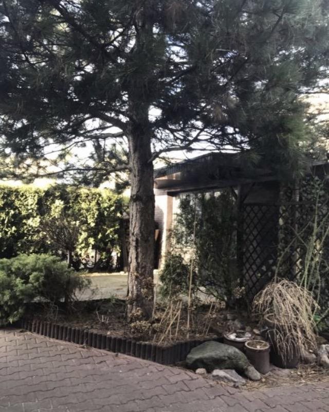 Dom na wynajem Luboń, Chopina 200m2 Foto 1 Dom na wynajem Luboń, Chopina 200m2 Foto 1