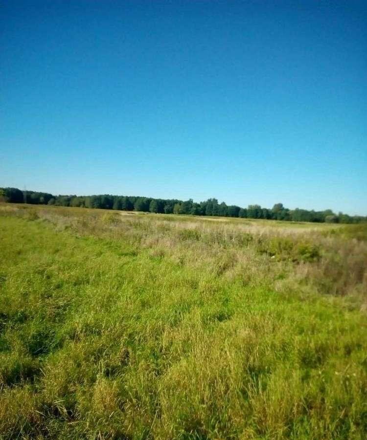 Działka inna na sprzedaż Rytwiany  5 900m2 Foto 8