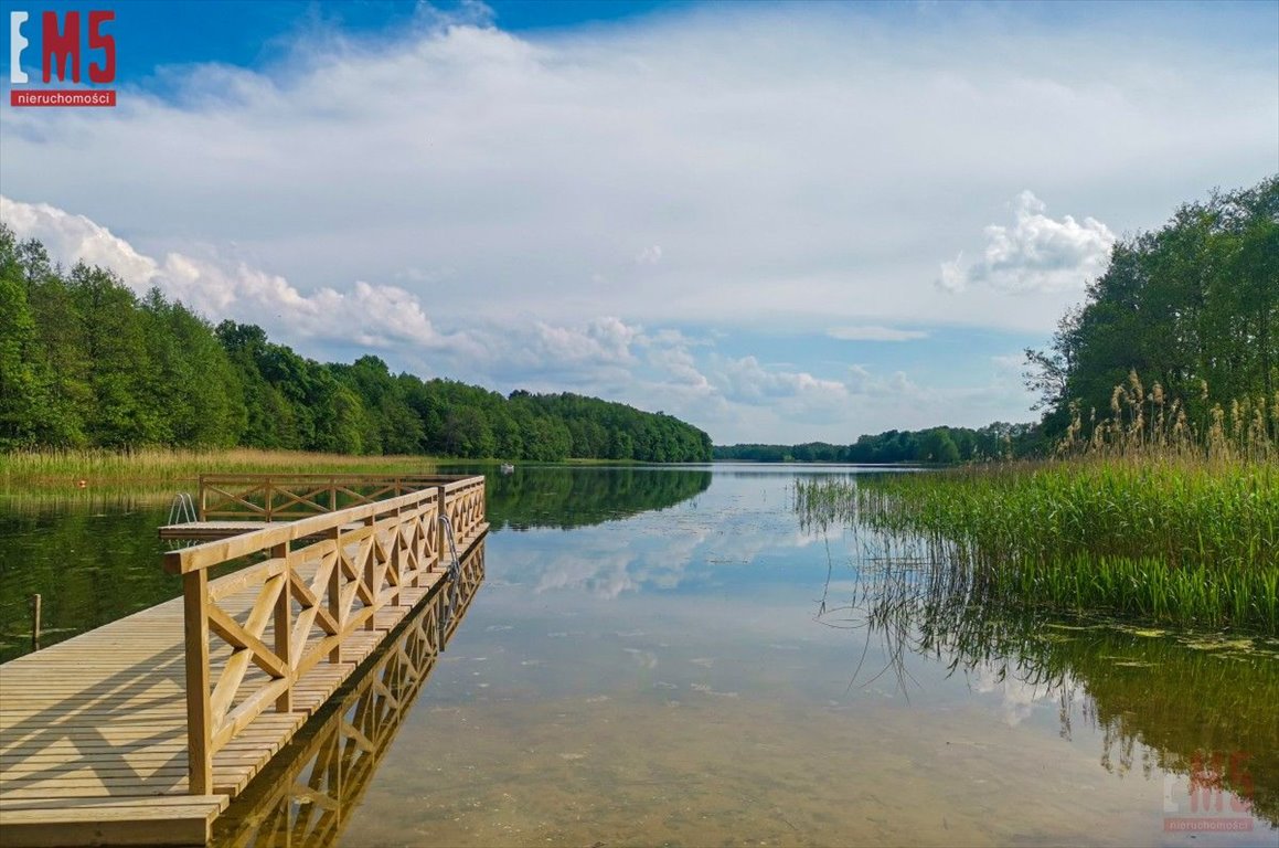 Działka inna na sprzedaż Wenecja  1 500m2 Foto 2