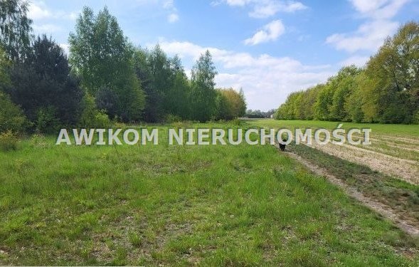 Działka budowlana na sprzedaż Chrzanów Mały  1 512m2 Foto 2