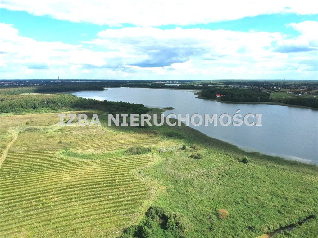 Działka rolna na sprzedaż Szarek  3 000m2 Foto 1