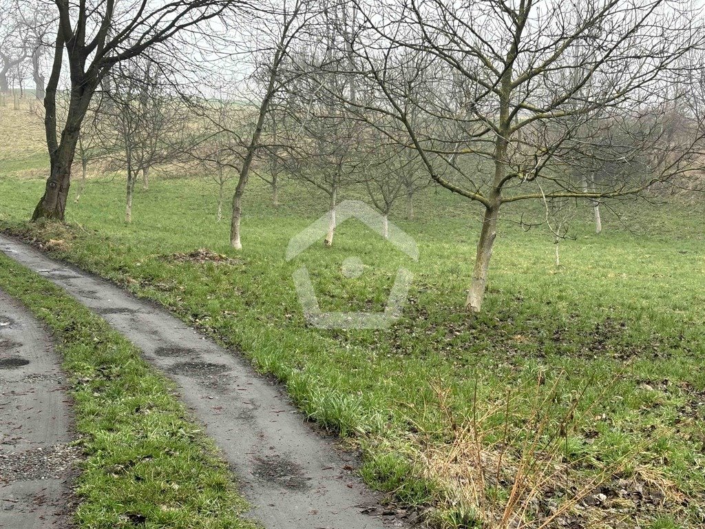 Działka inna na sprzedaż Albigowa  19m2 Foto 5