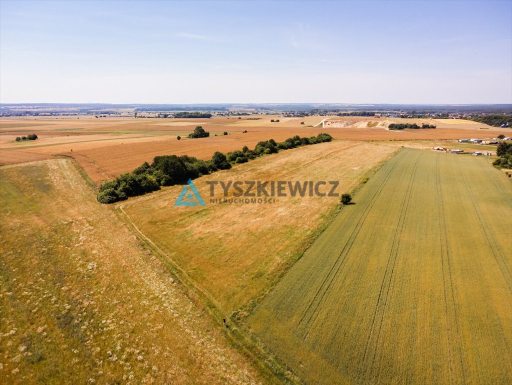 Działka inwestycyjna na sprzedaż Chłapowo, Władysławowska  4 387m2 Foto 6