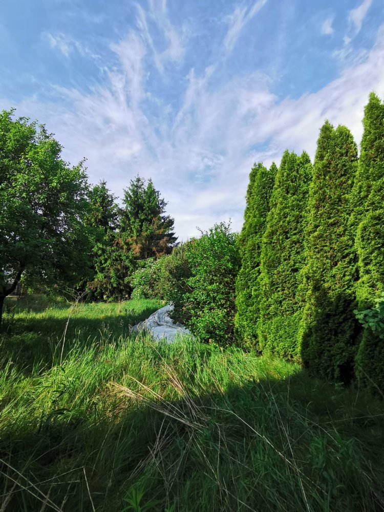 Działka budowlana na sprzedaż Jaworowa, Jaworowa, Objazdowa  643m2 Foto 6