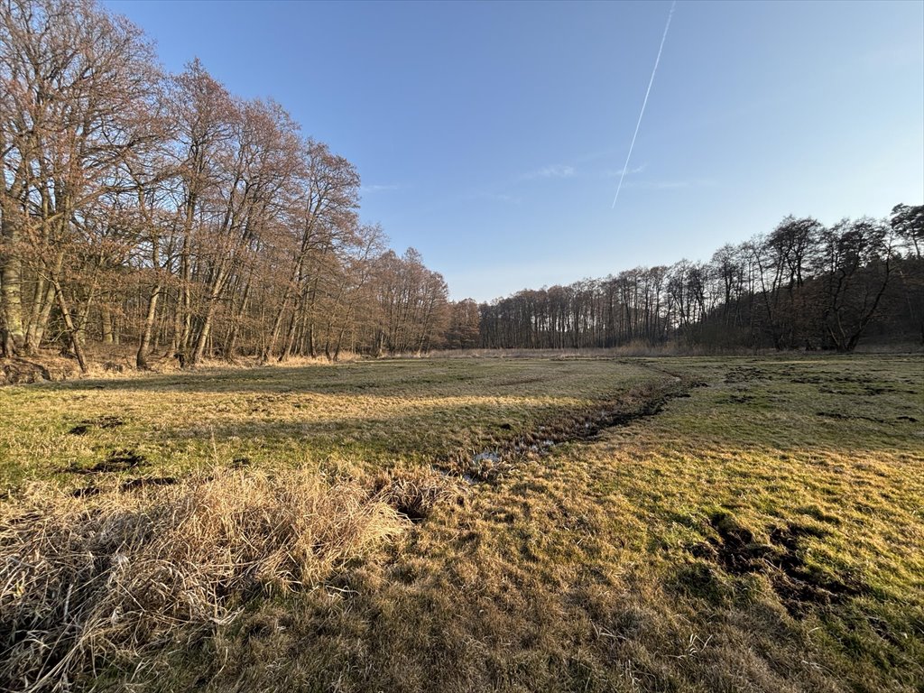 Malownicza działka 15 300 m² z lasami i jeziorami Bielsko  15 300m2 Foto 1