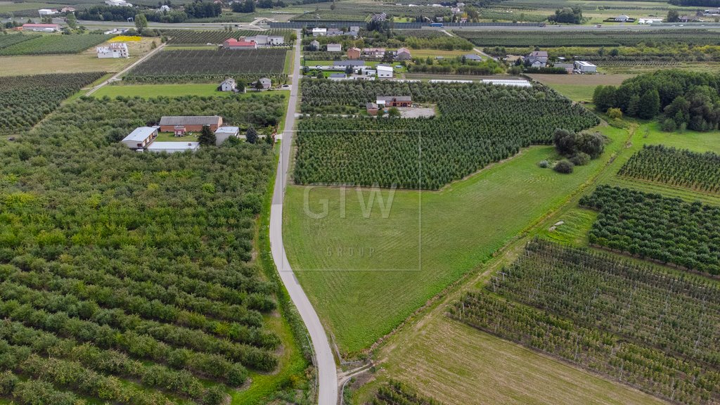 Działka budowlana na sprzedaż Widów  3 780m2 Foto 9