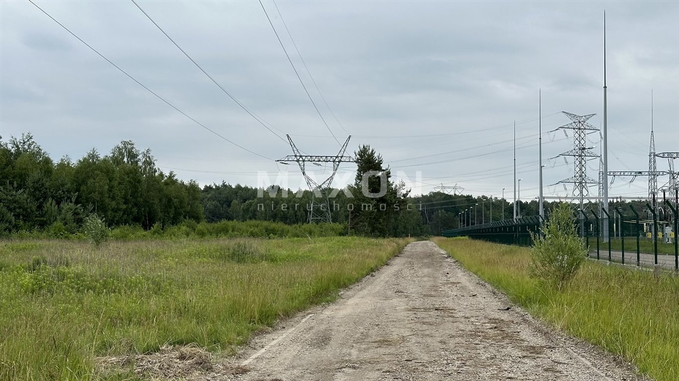 Działka rolna na sprzedaż Wólka Czarnińska  7 800m2 Foto 9