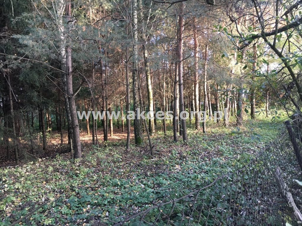 Działka leśna na sprzedaż Kępa Kiełpińska  3 014m2 Foto 6