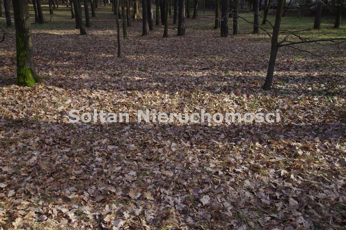 Działka budowlana na sprzedaż Borowina  14 000m2 Foto 9