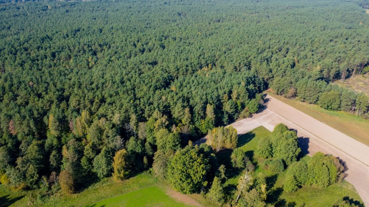 Działka leśna na sprzedaż Michałowo  36 000m2 Foto 5